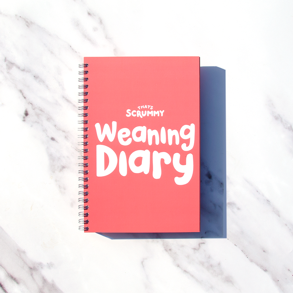 Baby Weaning Diary & Journal - Colours