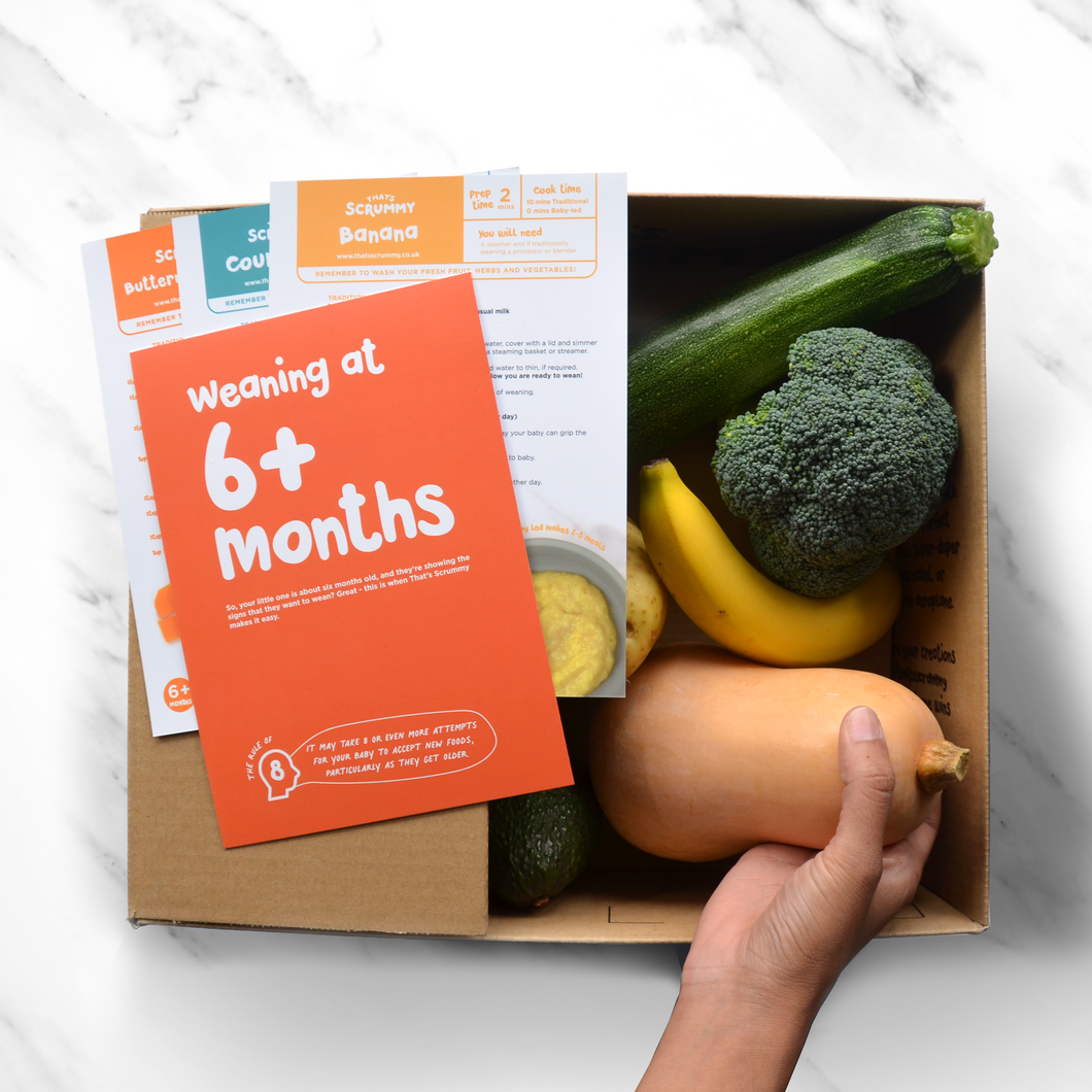 Weaning Boxes, First Tastes 6+ Month Box Two