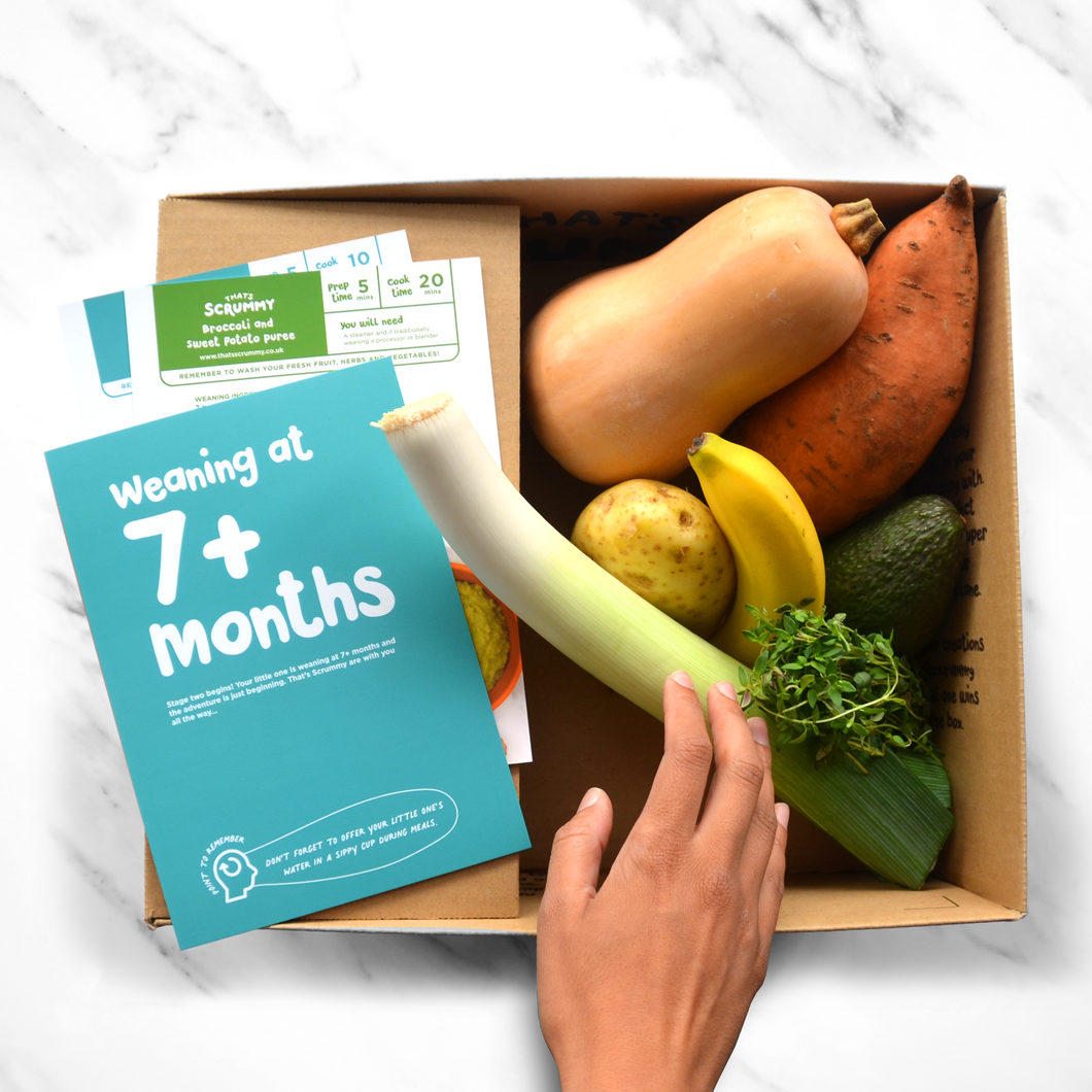 Weaning Boxes, Combined Flavour 7+ Month - Box One