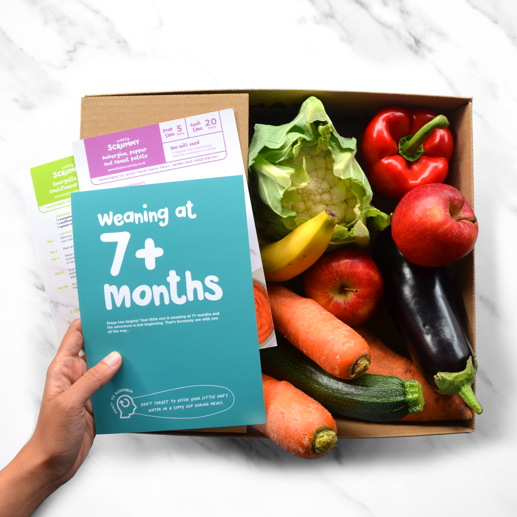 Weaning Boxes, Combined Flavour 7+ Month - Box Two